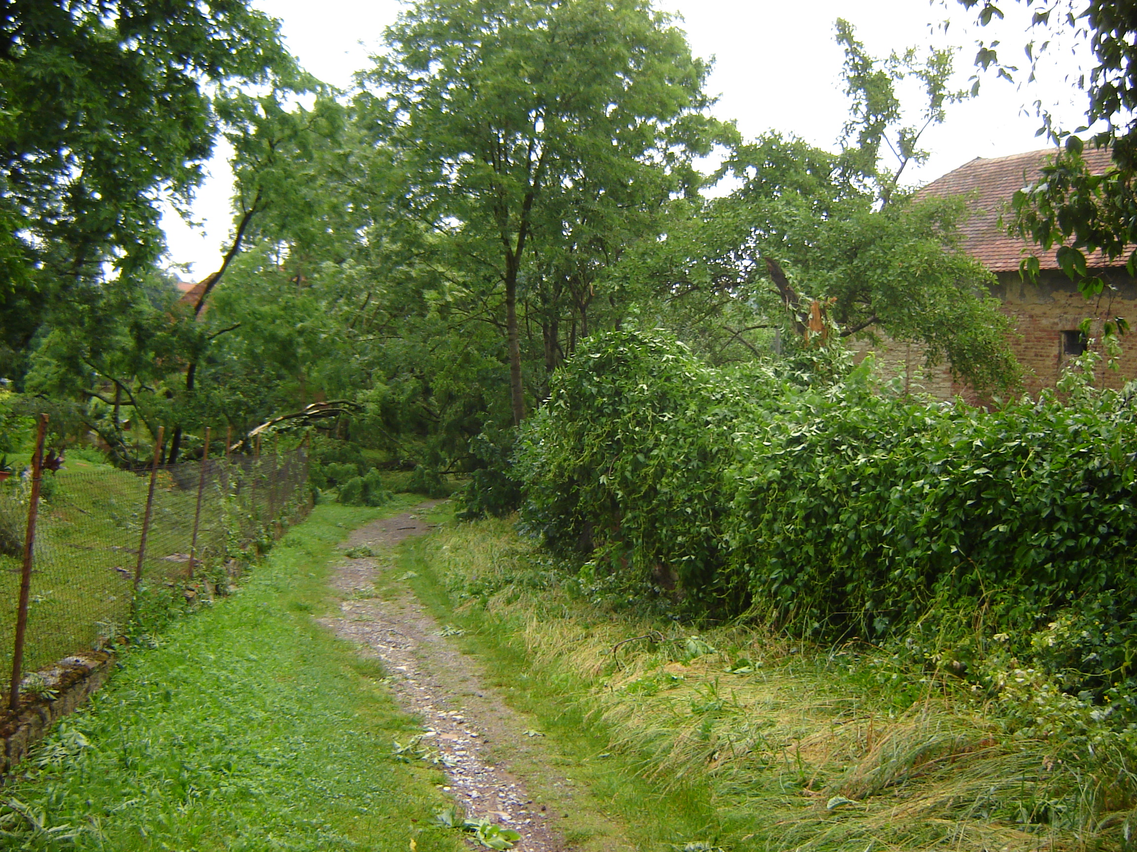DSC07464.JPG