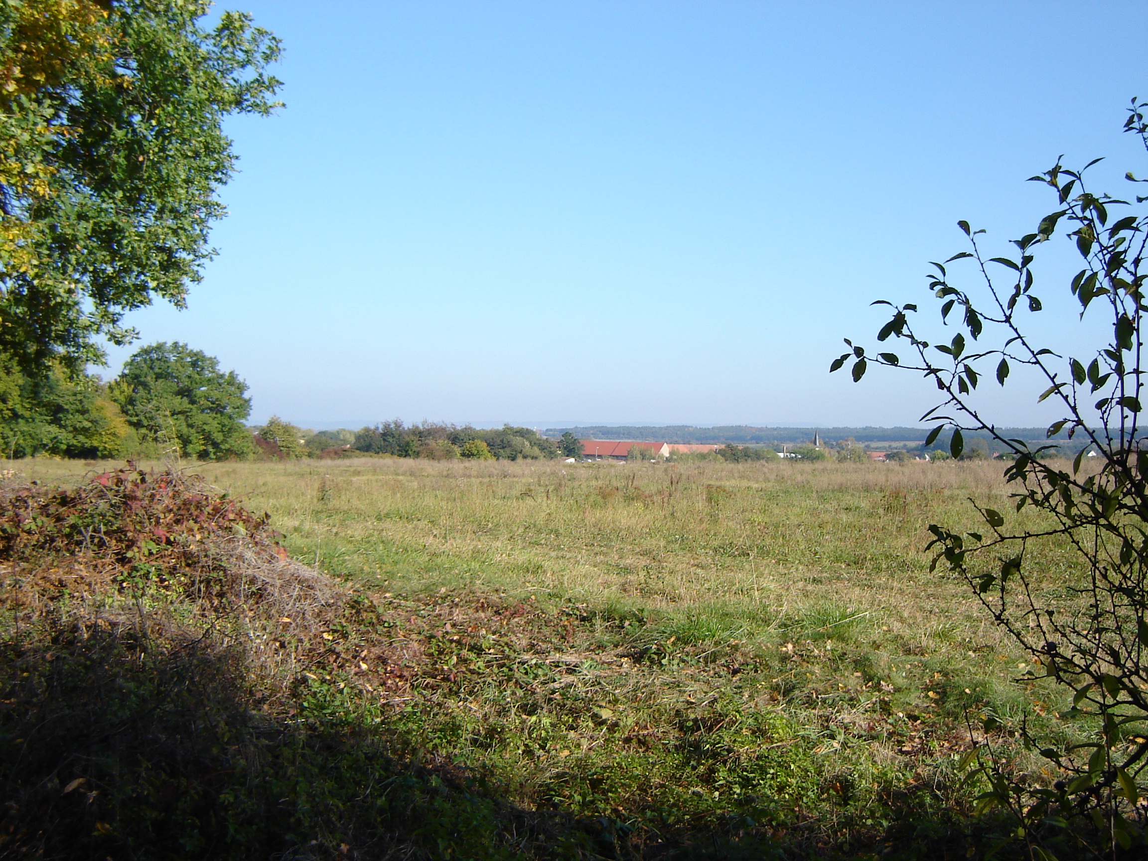 DSC01610.JPG