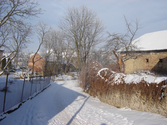 DSC07973.JPG