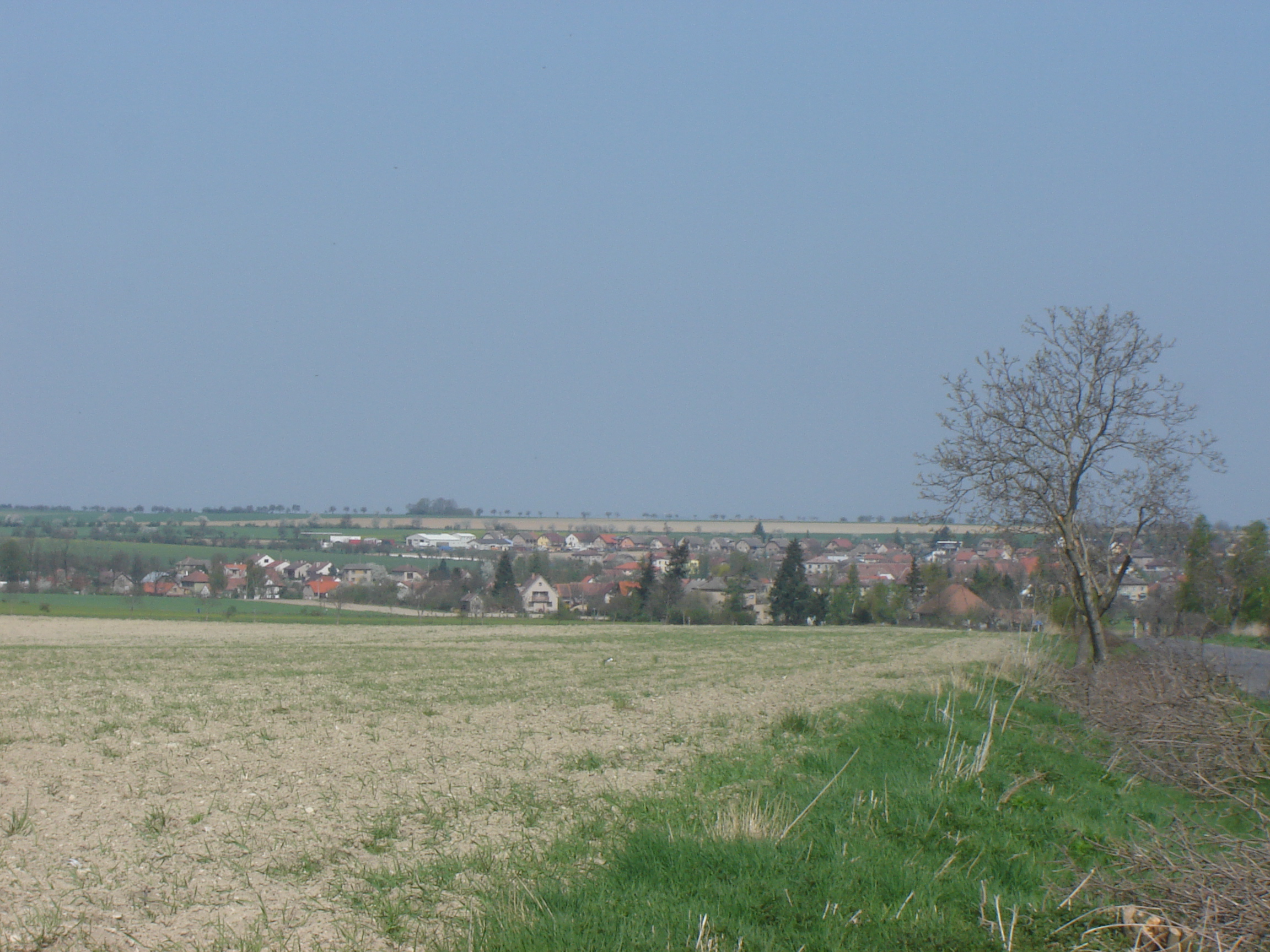 DSC08305.JPG
