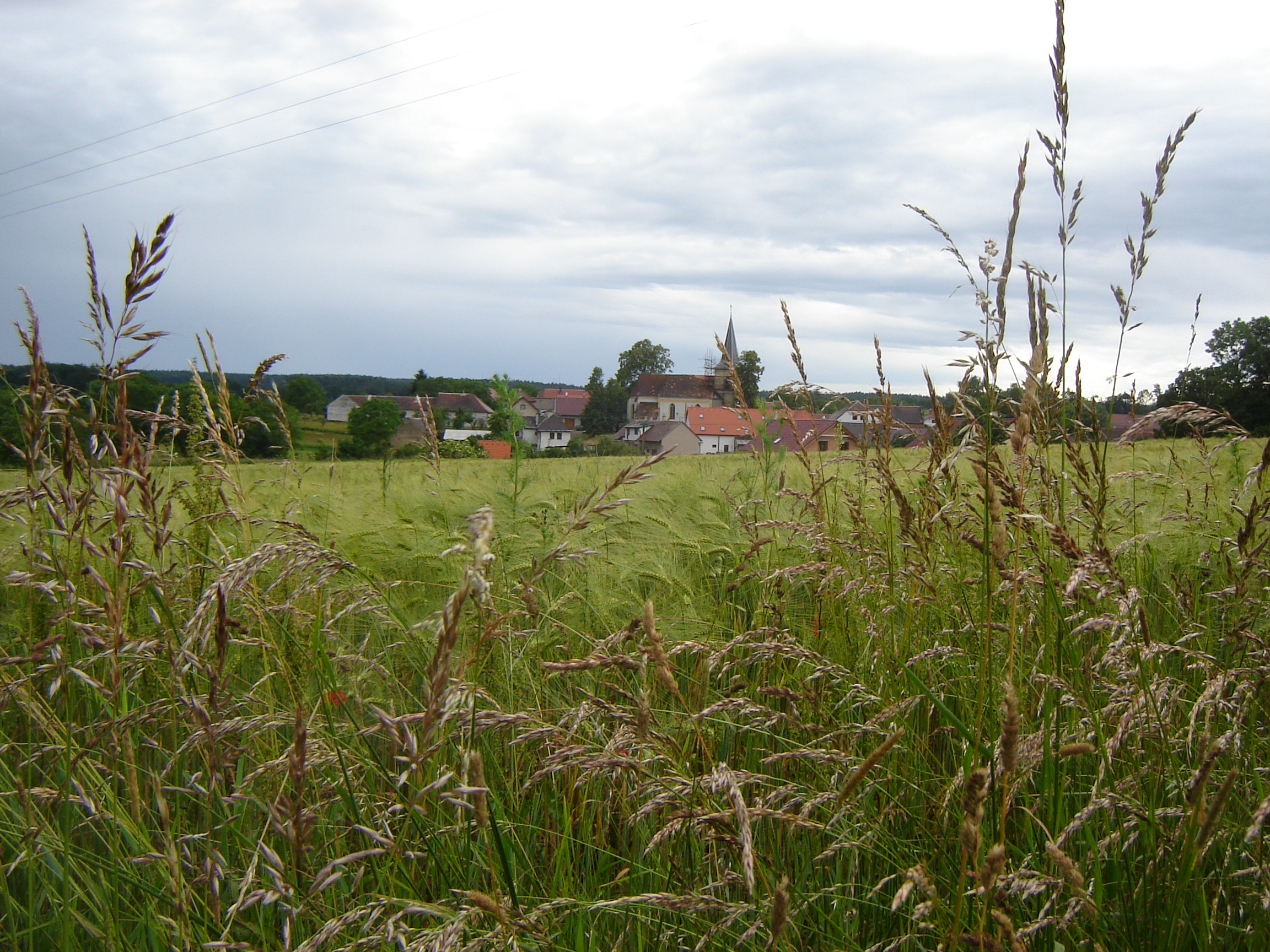 DSC08408.JPG