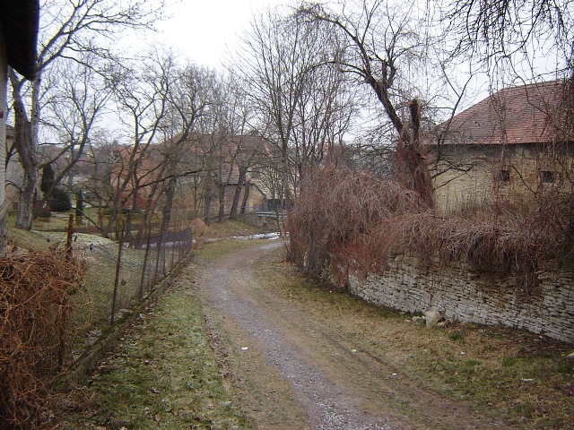 zzzima07.jpg