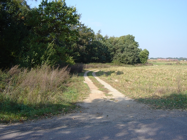 DSC01485.jpg