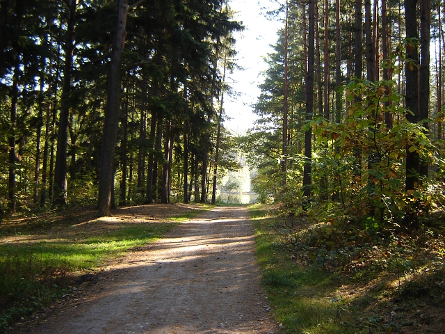 DSC01571.jpg