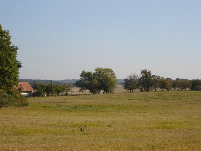DSC01633.jpg
